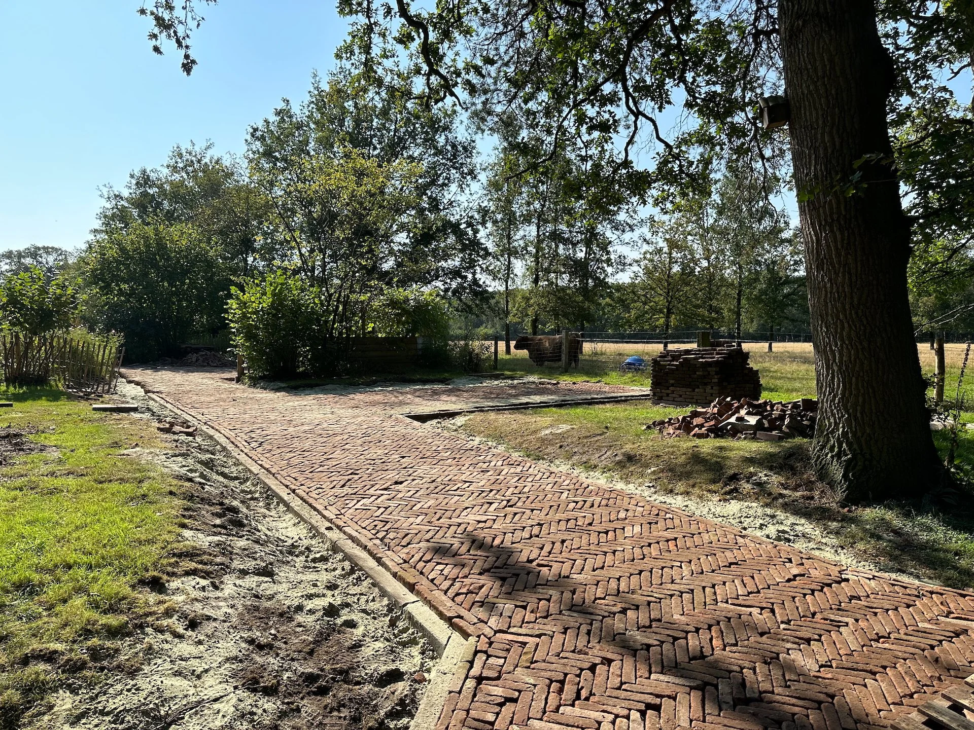  The guys were doing beautiful work! 