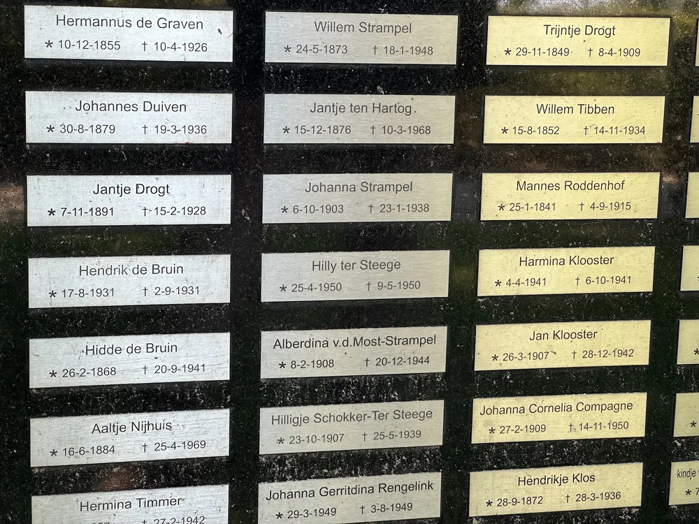 Family Reunion - 16.jpeg