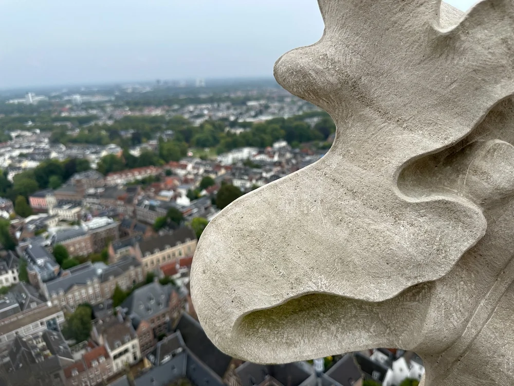  Getting artsy with the gargoyles. 