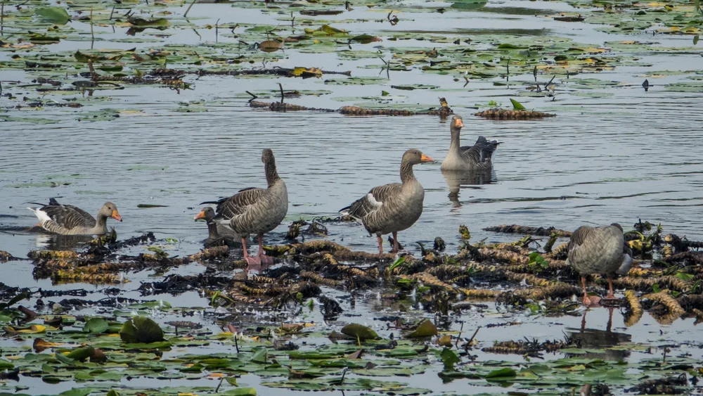 Den Bosch and Eindhoven - 40.jpeg