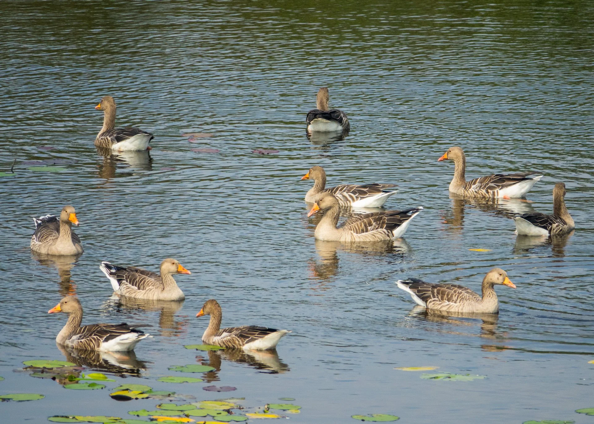 Den Bosch and Eindhoven - 41.jpeg