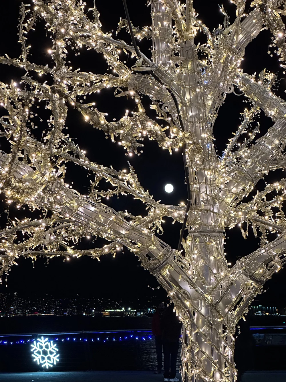 2024 12 Reifel and Vancouver Xmas - 41.jpeg