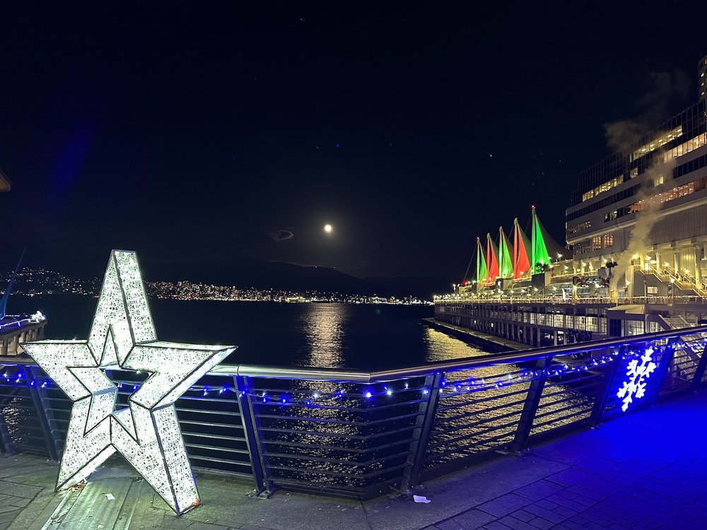 2024 12 Reifel and Vancouver Xmas - 42.jpeg