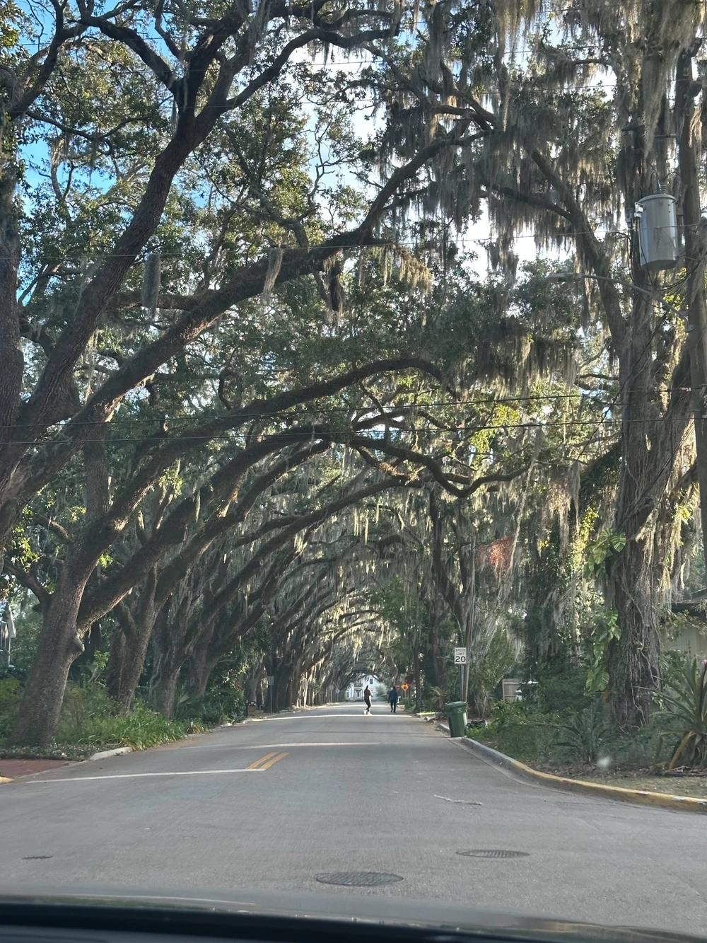  One of the nicest stops was in St. Augustine.  I did not take enough photos of this beautiful little town, so rich in hostory. It’s one of the oldest settlements in the US.   