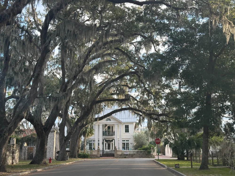  Founded in 1565 by Spanish colonists, it is the oldest continuously inhabited European-established settlement in what is now the contiguous United States. Gotta love the huge trees and all the Spanish moss.  