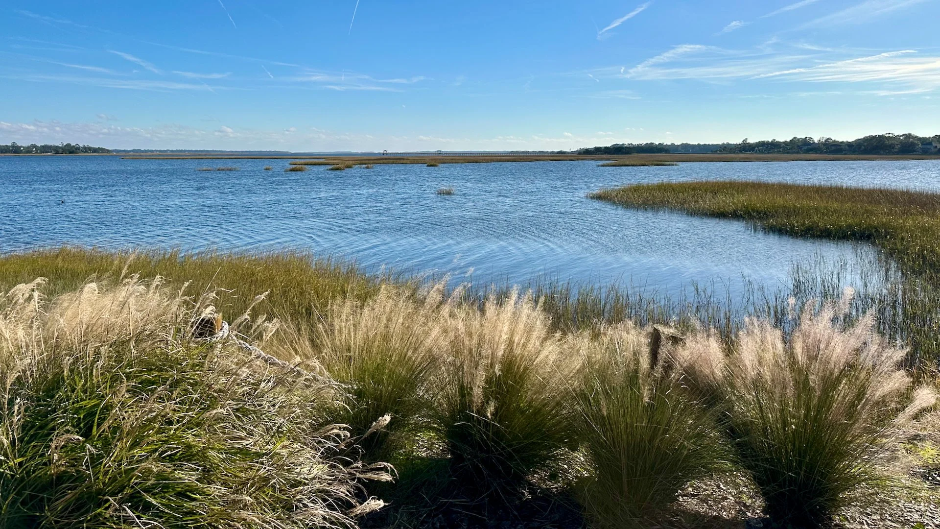  A couple of views out over the Intracoastal Waterway from the patio of the restaurant.  