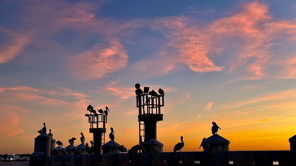  We had an amazing sunset as we waited on the ferry. 