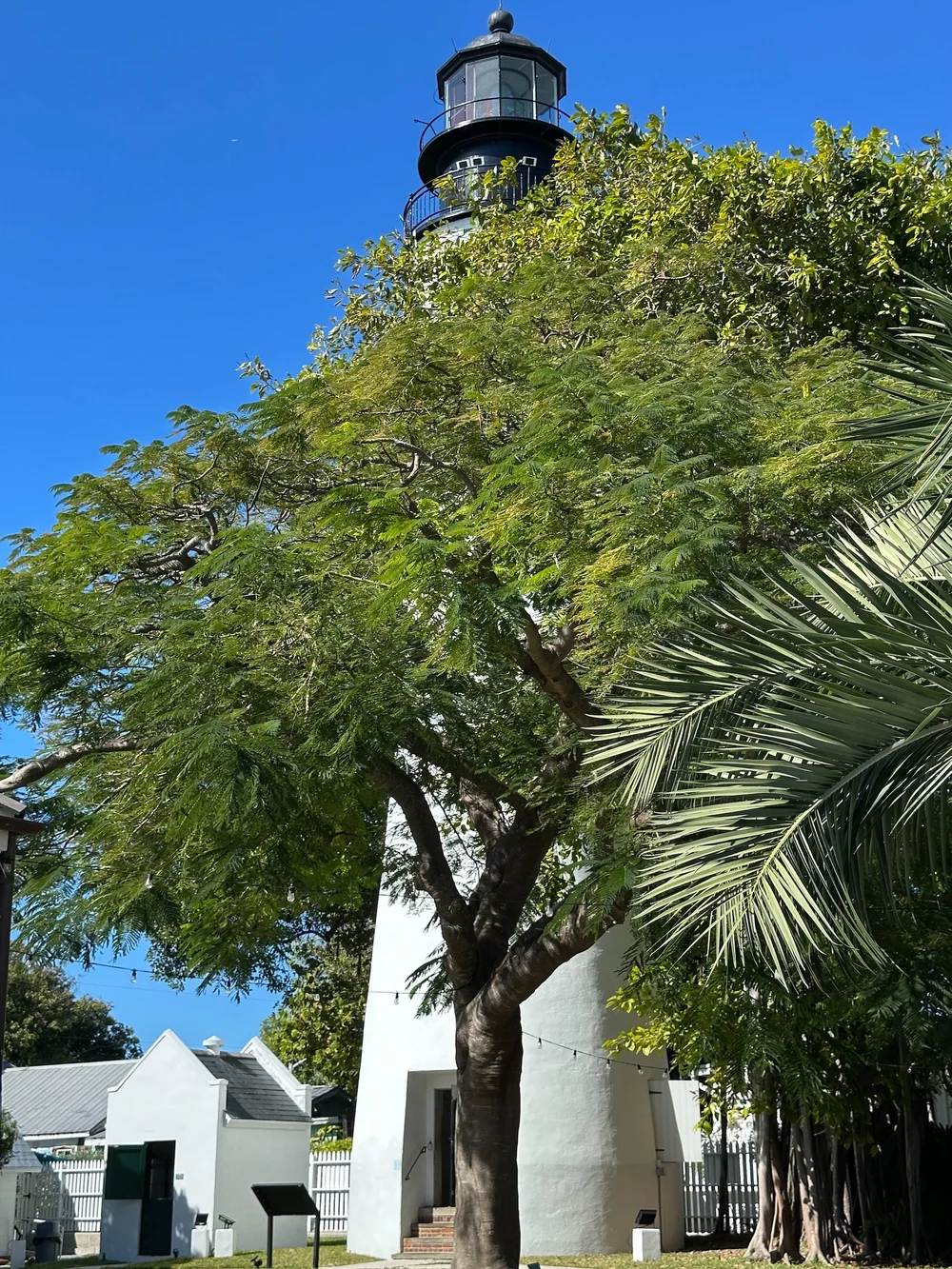  There is a cool, old lighthouse right in downtown.  