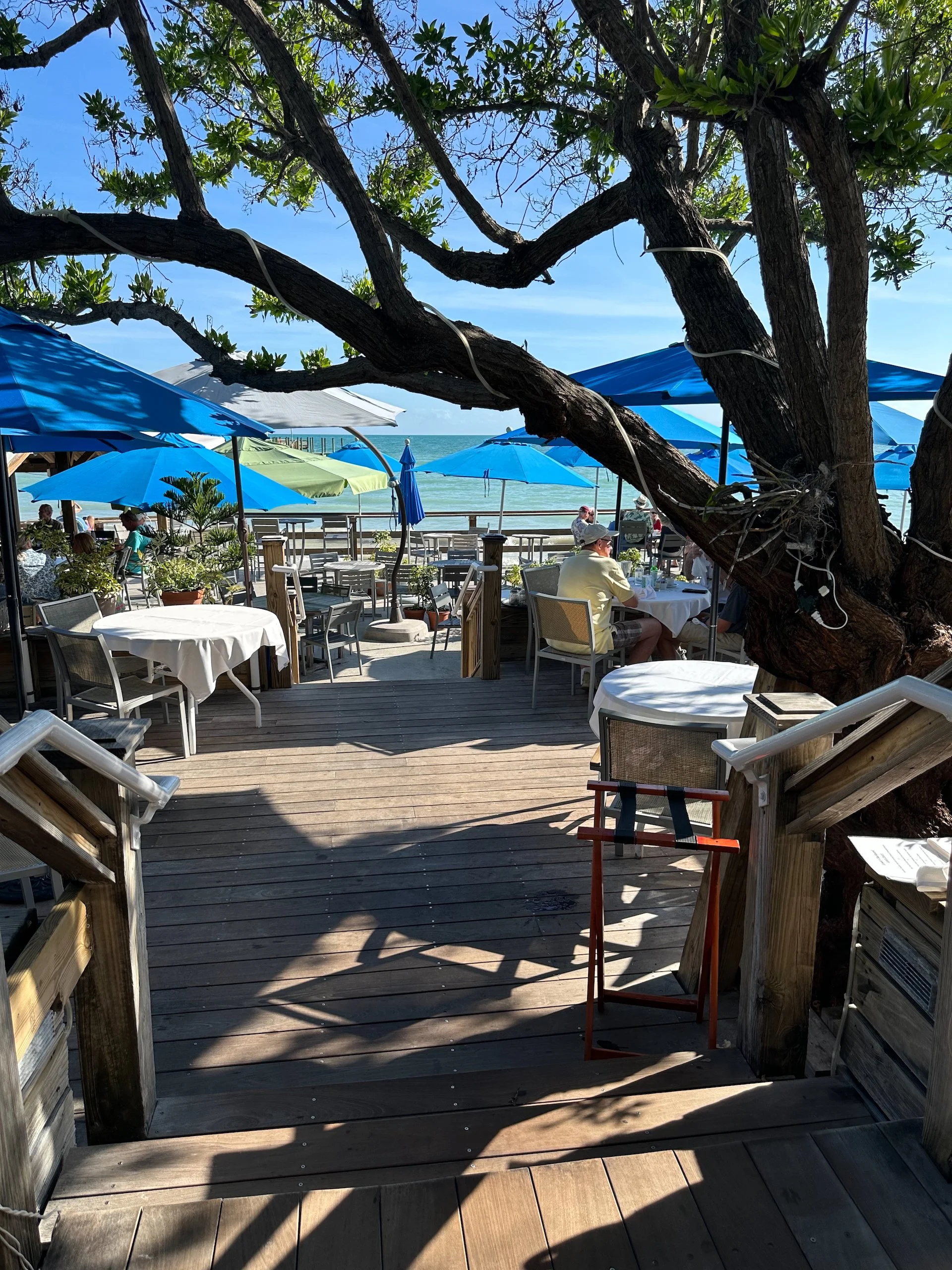  The view from our seats at lunch.  