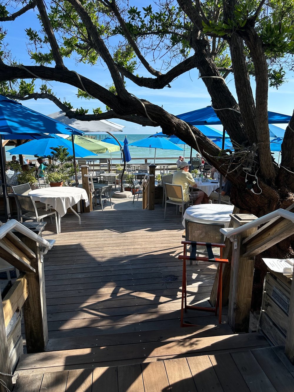  The view from our seats at lunch.  