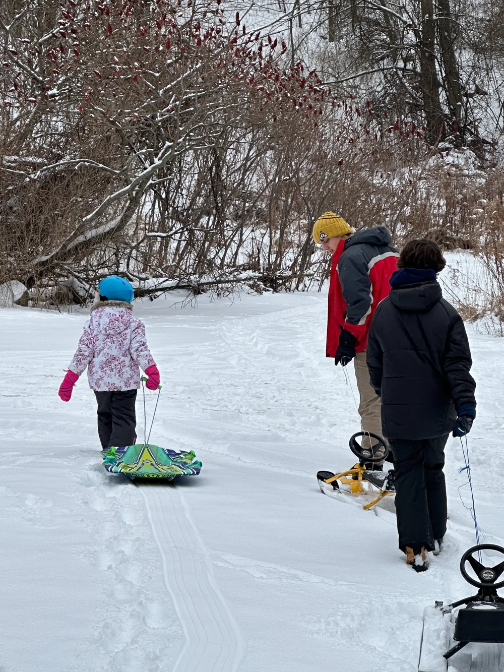 2024 Christmas 2 - 37.jpeg