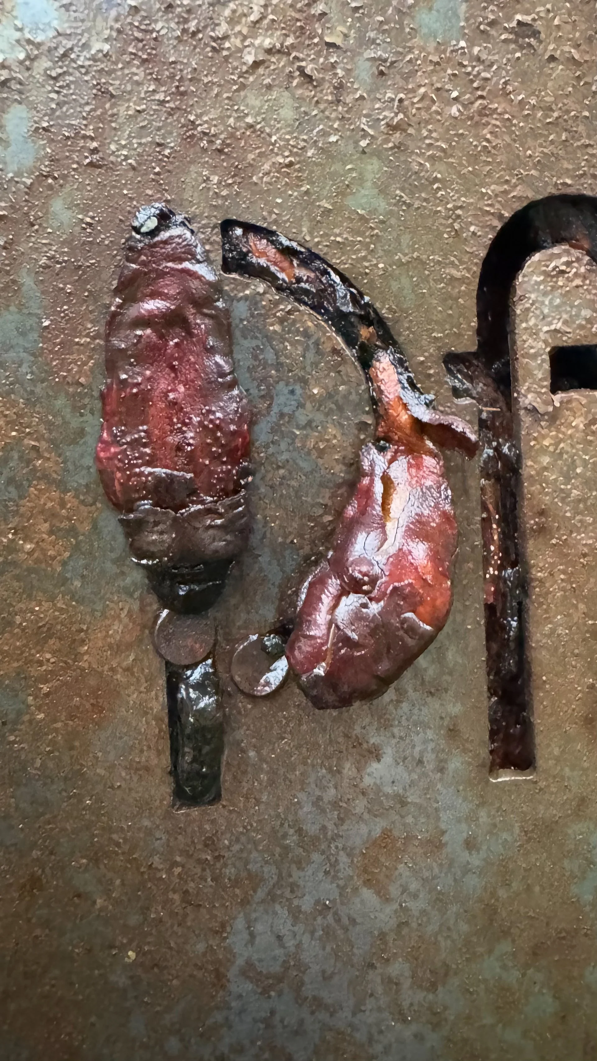 The tree starting to grow through the letters in the sign.