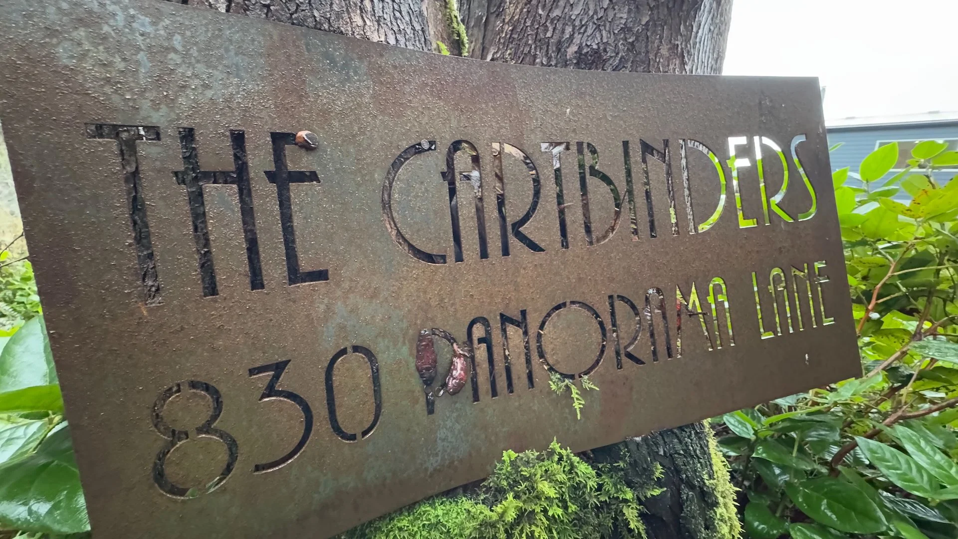 It was time to pull it off the tree and reset it.