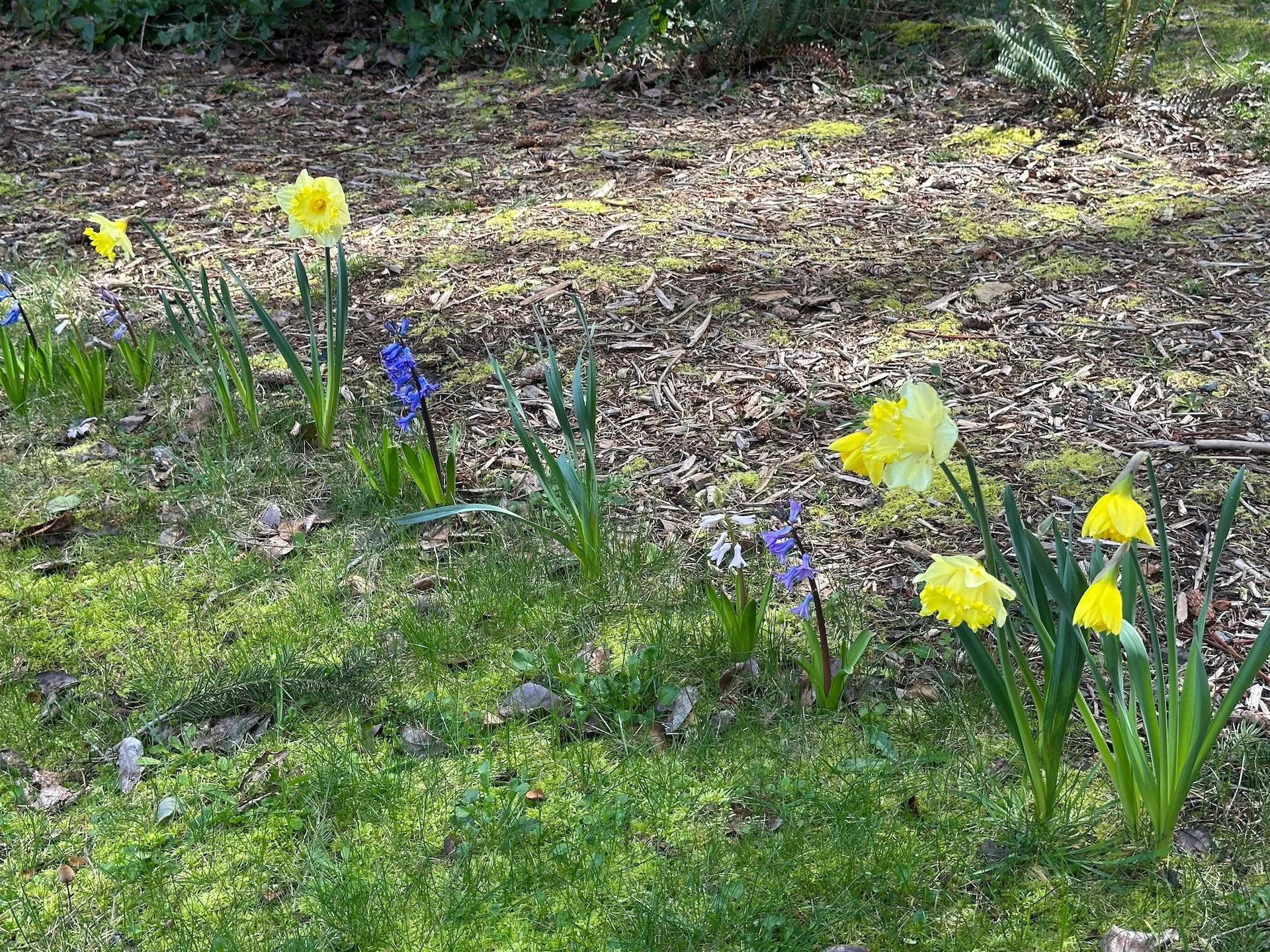 2025 Vancouver and Galiano Spring - 8.jpeg