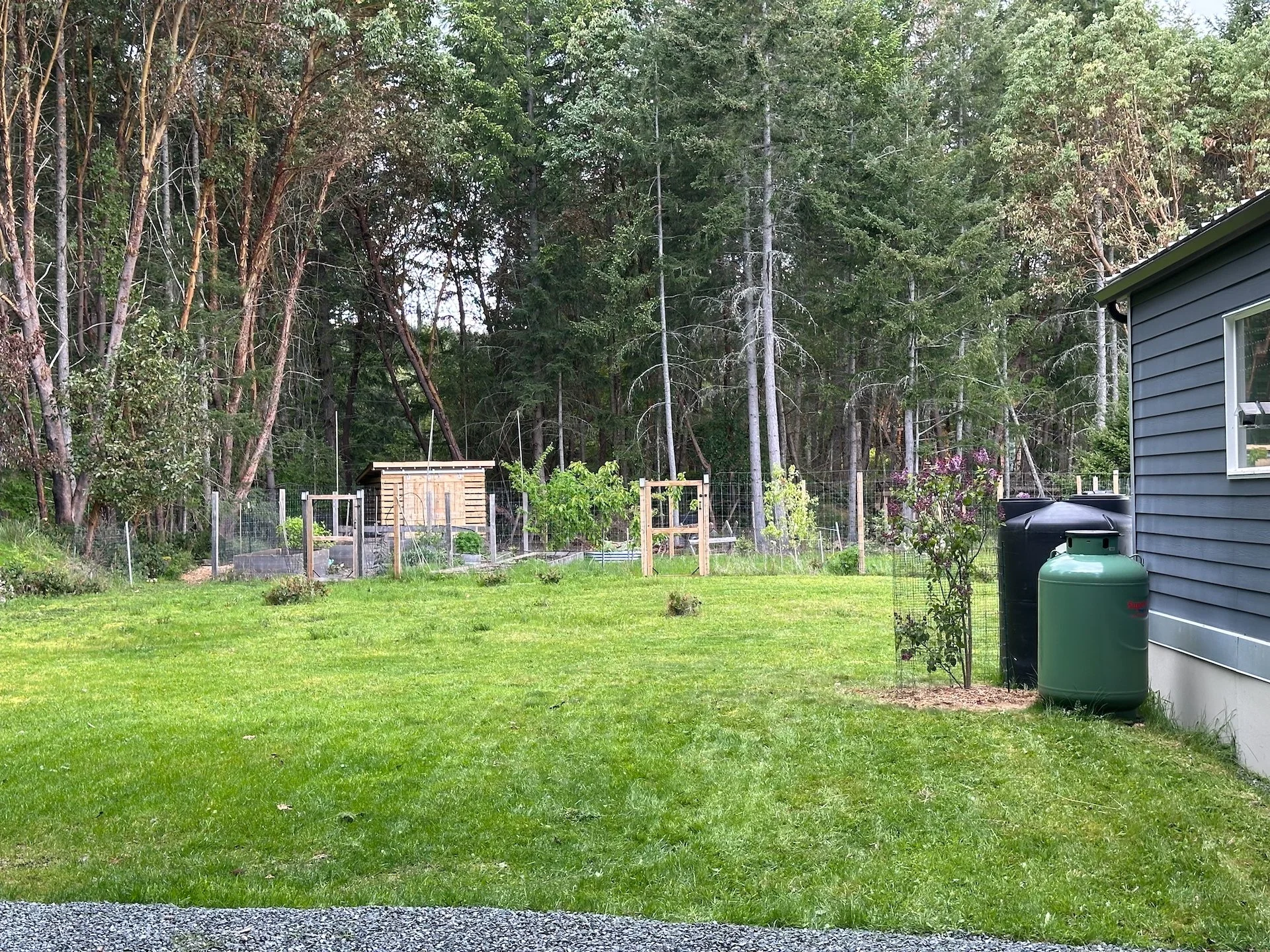  This time of year the grass grows so fast! I had missed the orchard last time and it was almost unmanageable.  