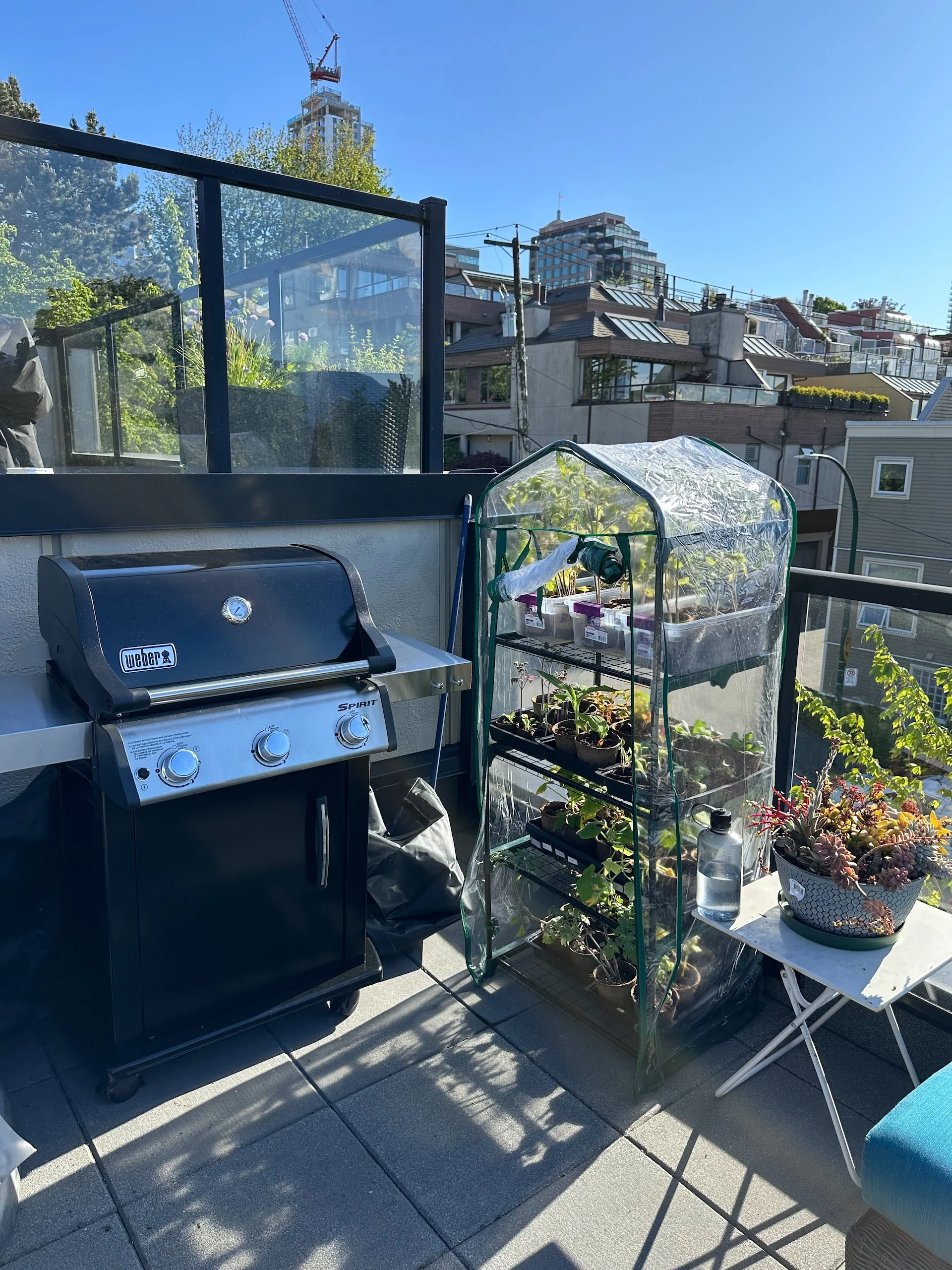  Our new little BBQ, all assembled and ready to go. I also bought a cheap little “greenhouse” to put all my seedlings in until I can take them to the island. Partly to harden them off, partly to get them off the stairs to the roof! 