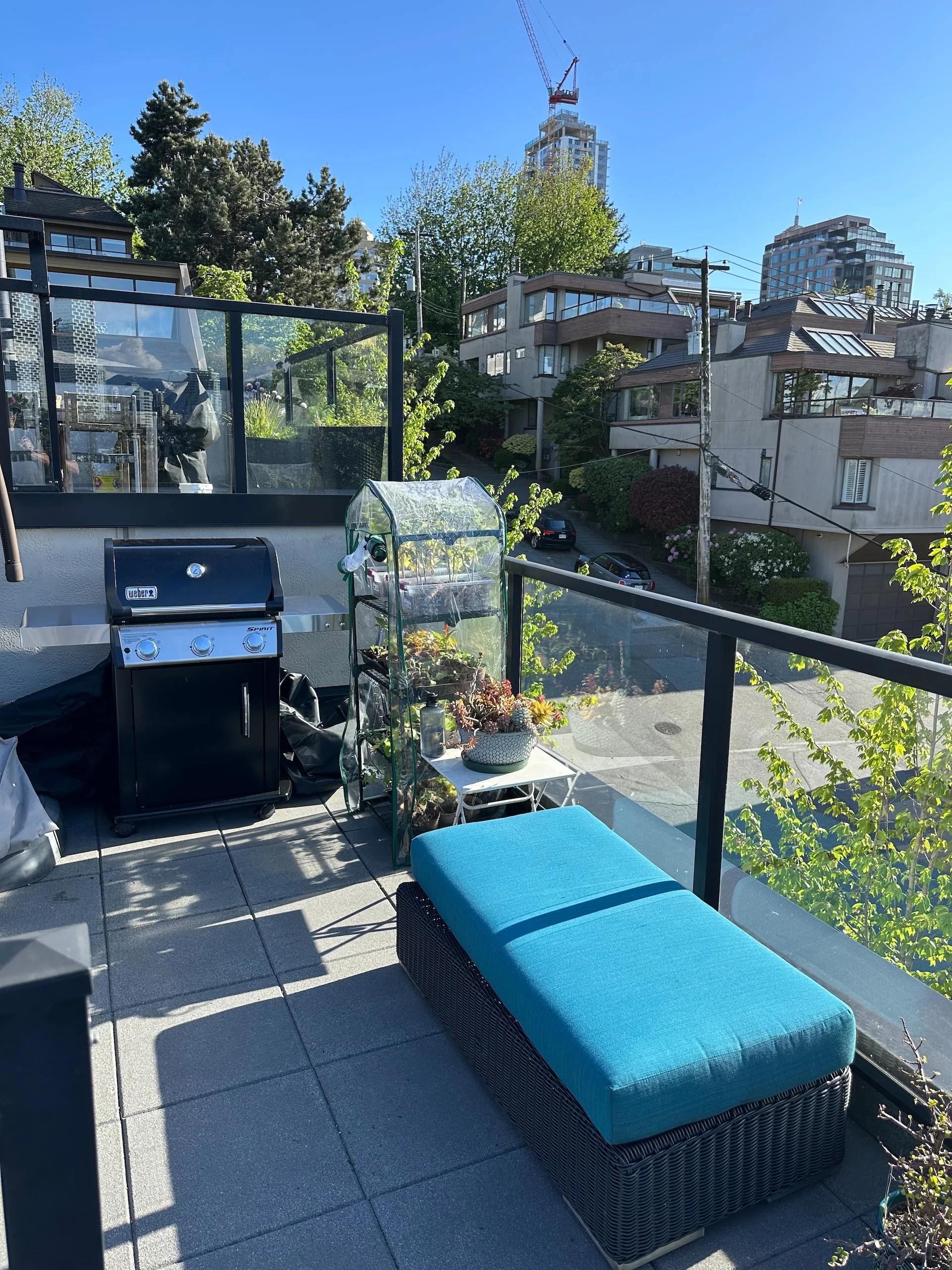  The “west” side of the deck and the new BBQ. 