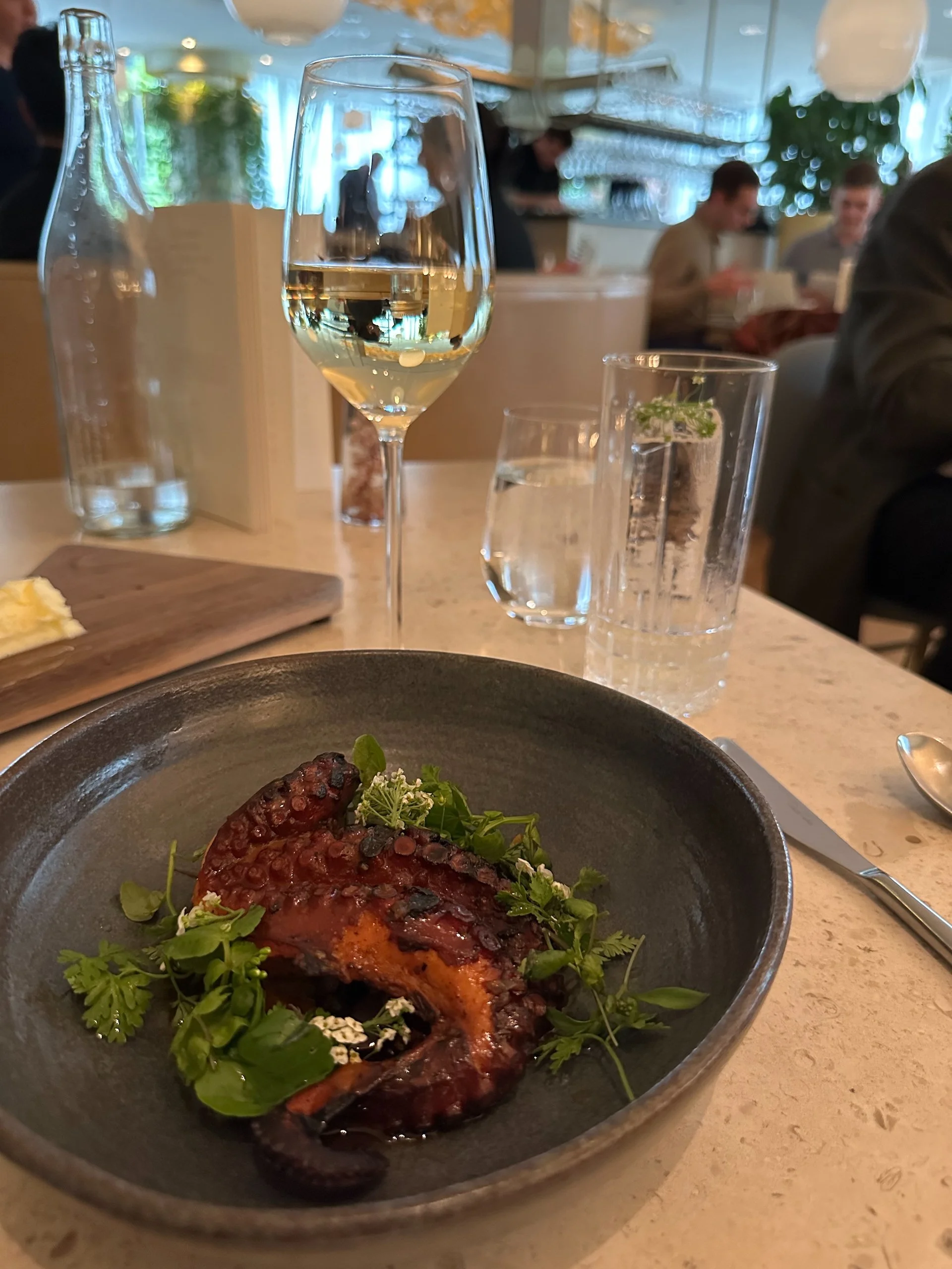  I had a delicious octopus starter - Jus had a burratta salad. 