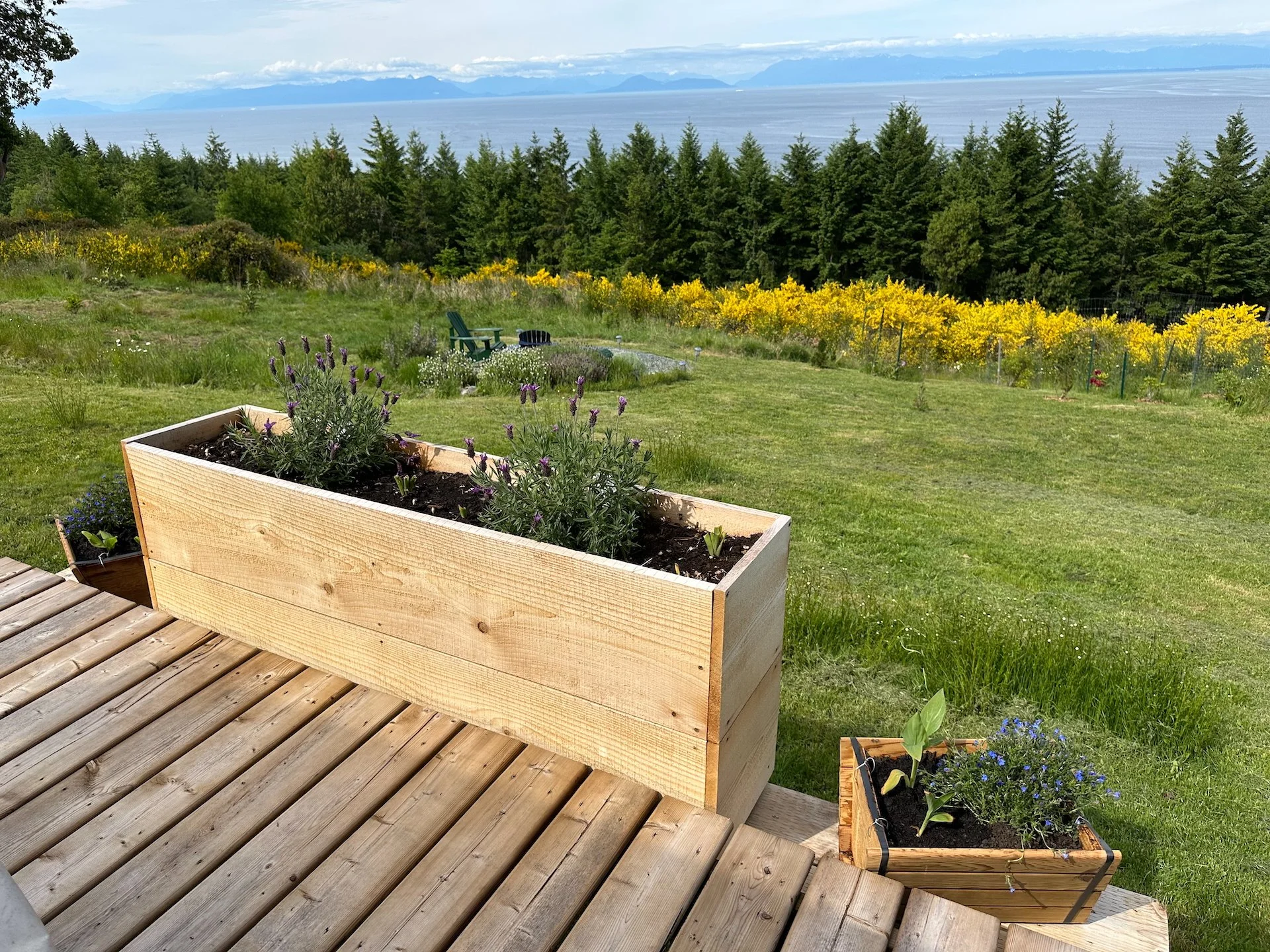  Justine made up a couple small planters to add to the deck. 