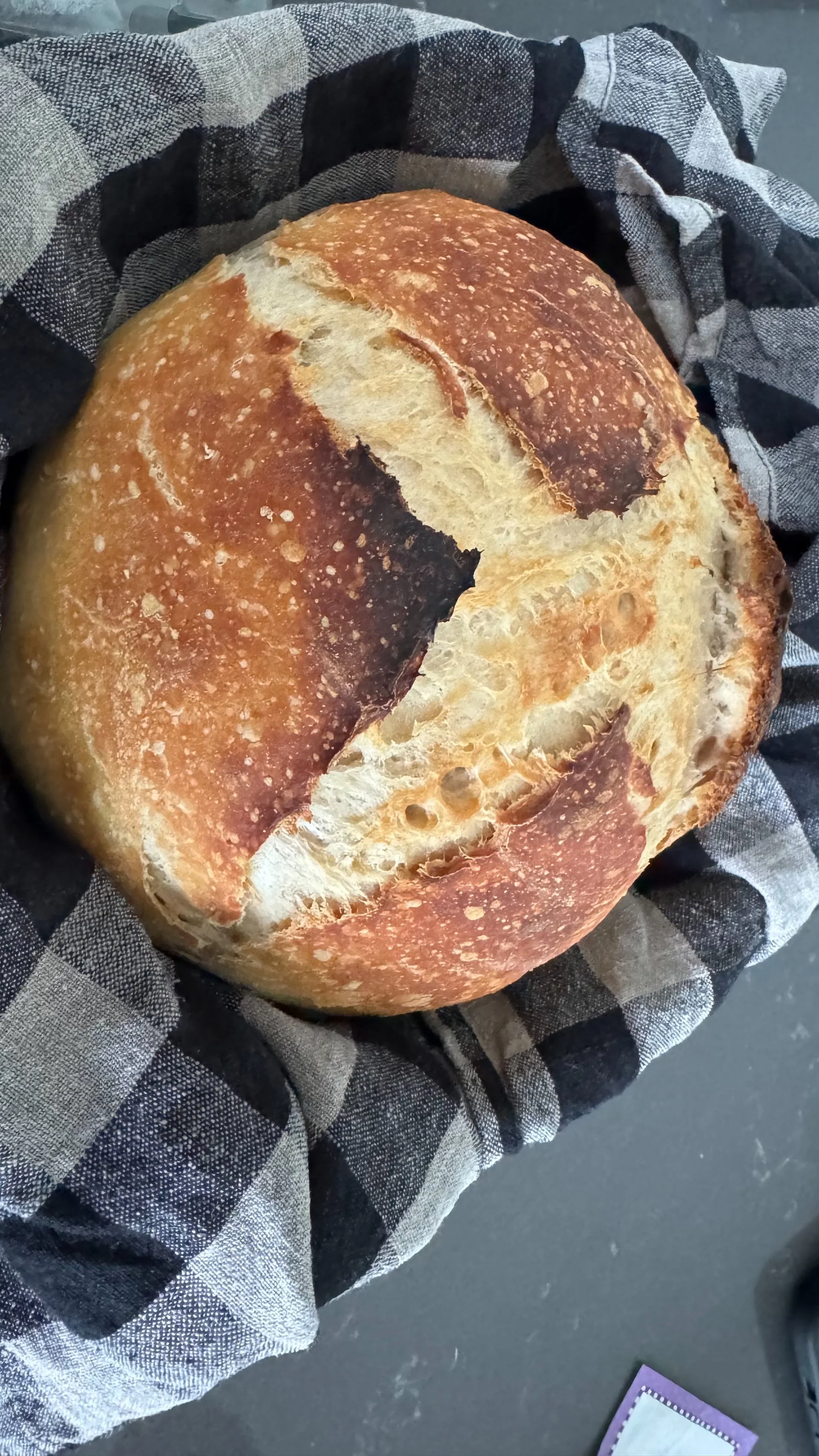  Our neighbours Jerry and Madeline were kind enough to drop off a delicious loaf of bread! 