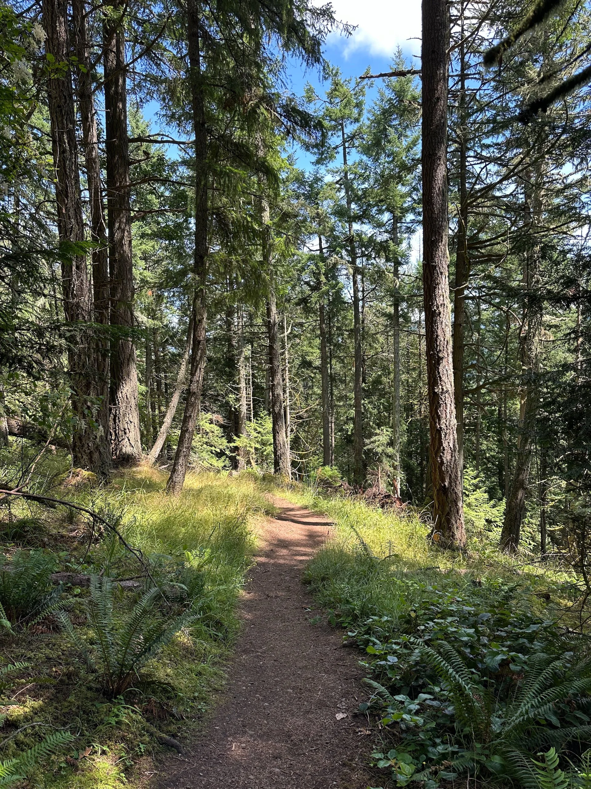  A pretty typical view of the trail as we head up the “mountain”.  