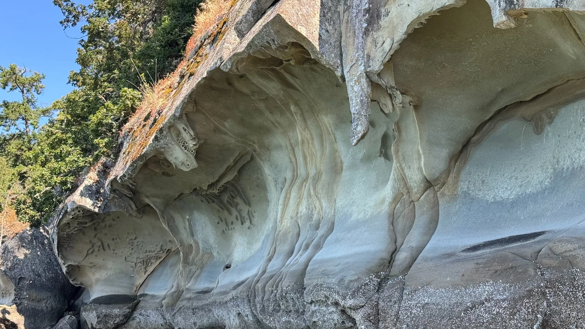  Much of Galiano is sandstone, which creates these amazing formations as the ocean erodes the soft rock.  