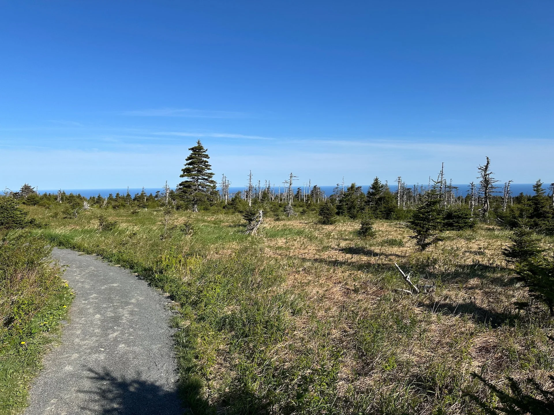 2025 06 Cabot Trail - 112.jpeg