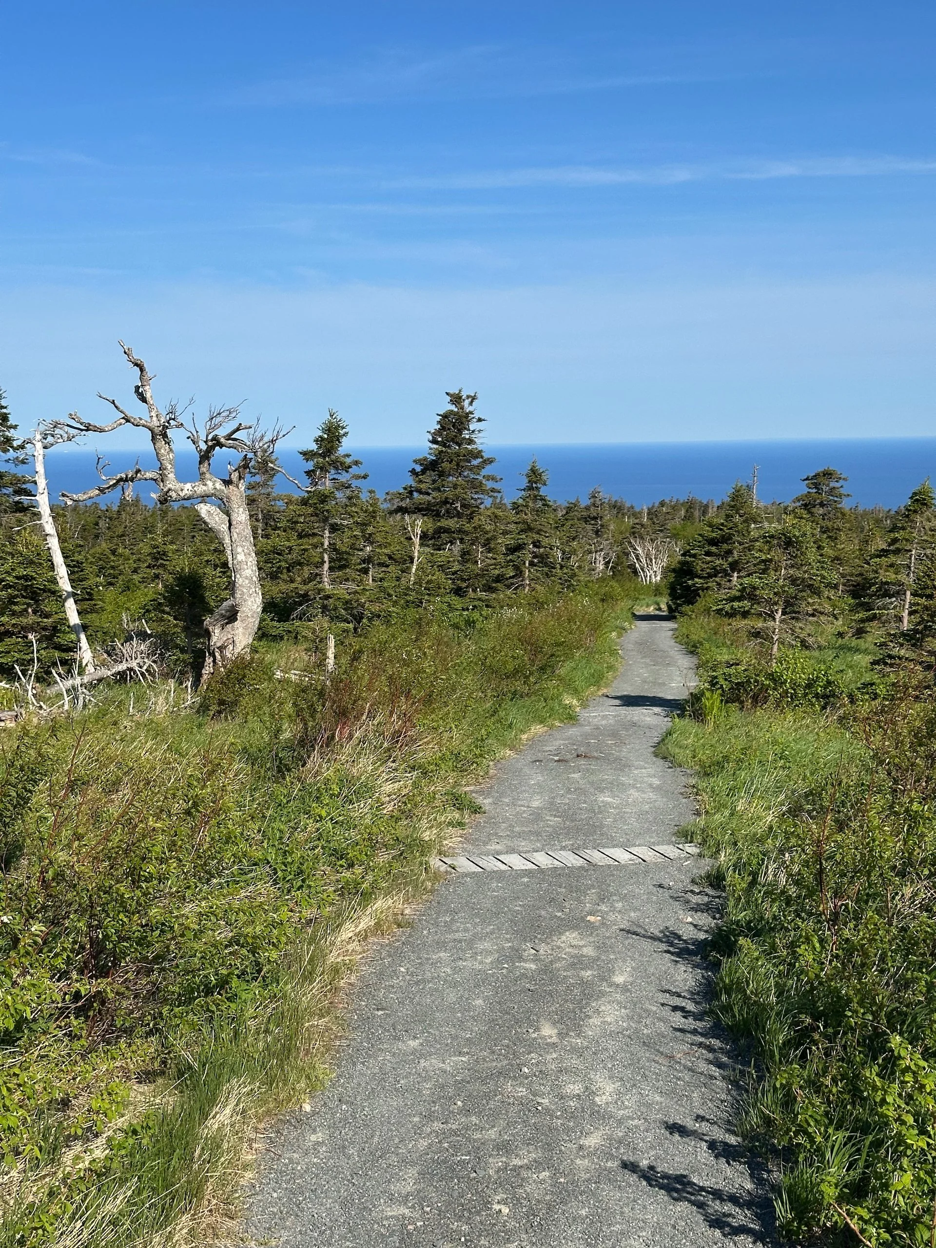 2025 06 Cabot Trail - 114.jpeg