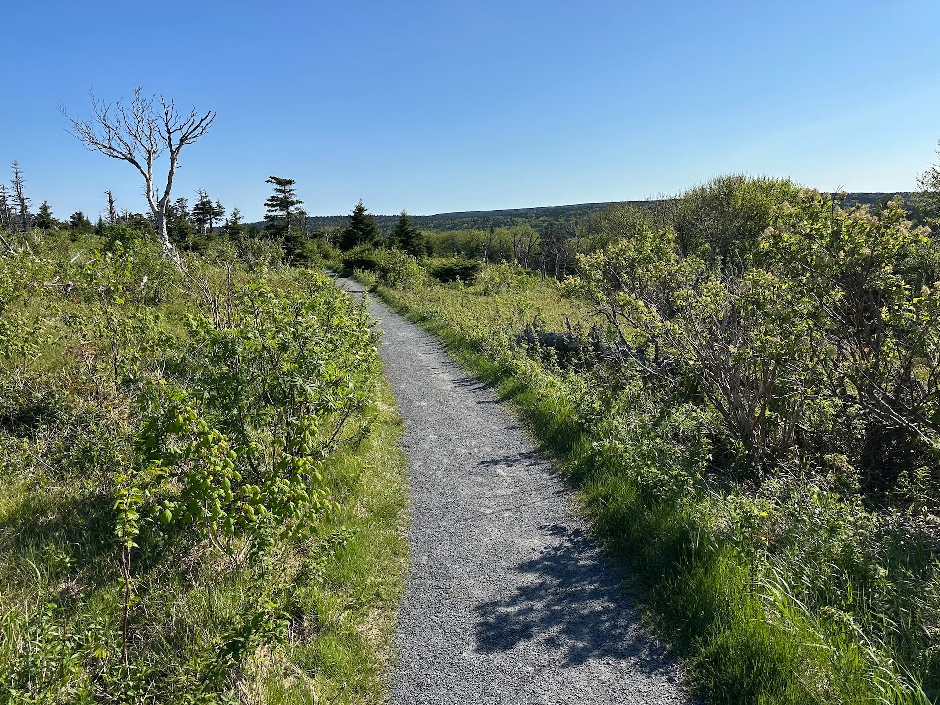 2025 06 Cabot Trail - 121.jpeg