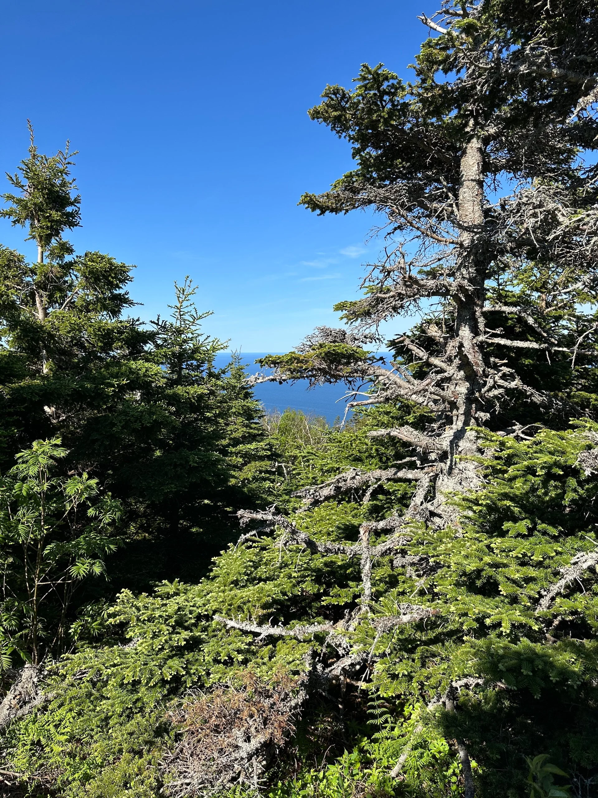 2025 06 Cabot Trail - 132.jpeg