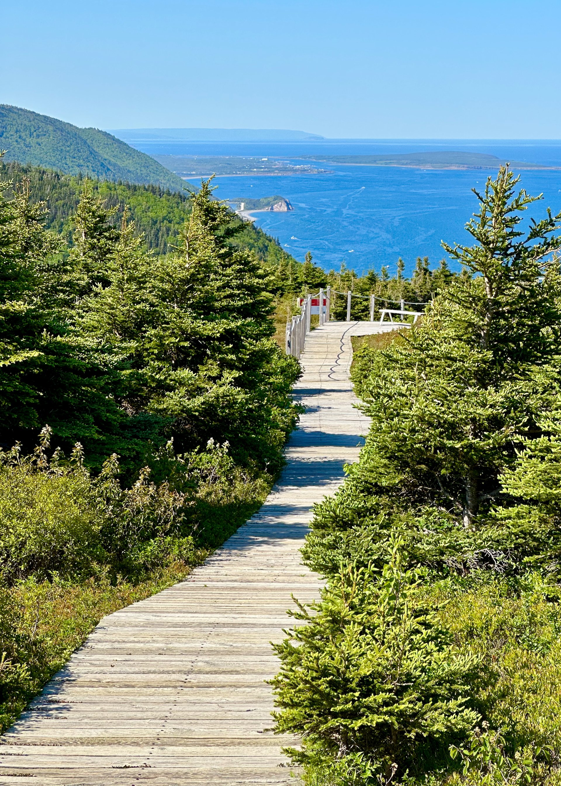 2025 06 Cabot Trail - 142.jpeg