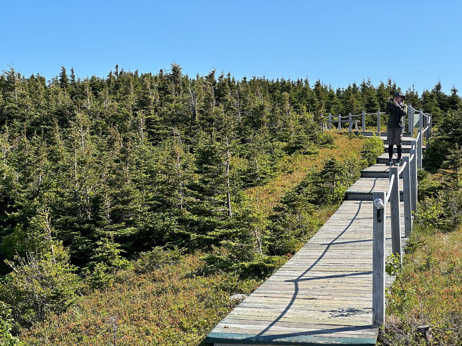 2025 06 Cabot Trail - 144.jpeg