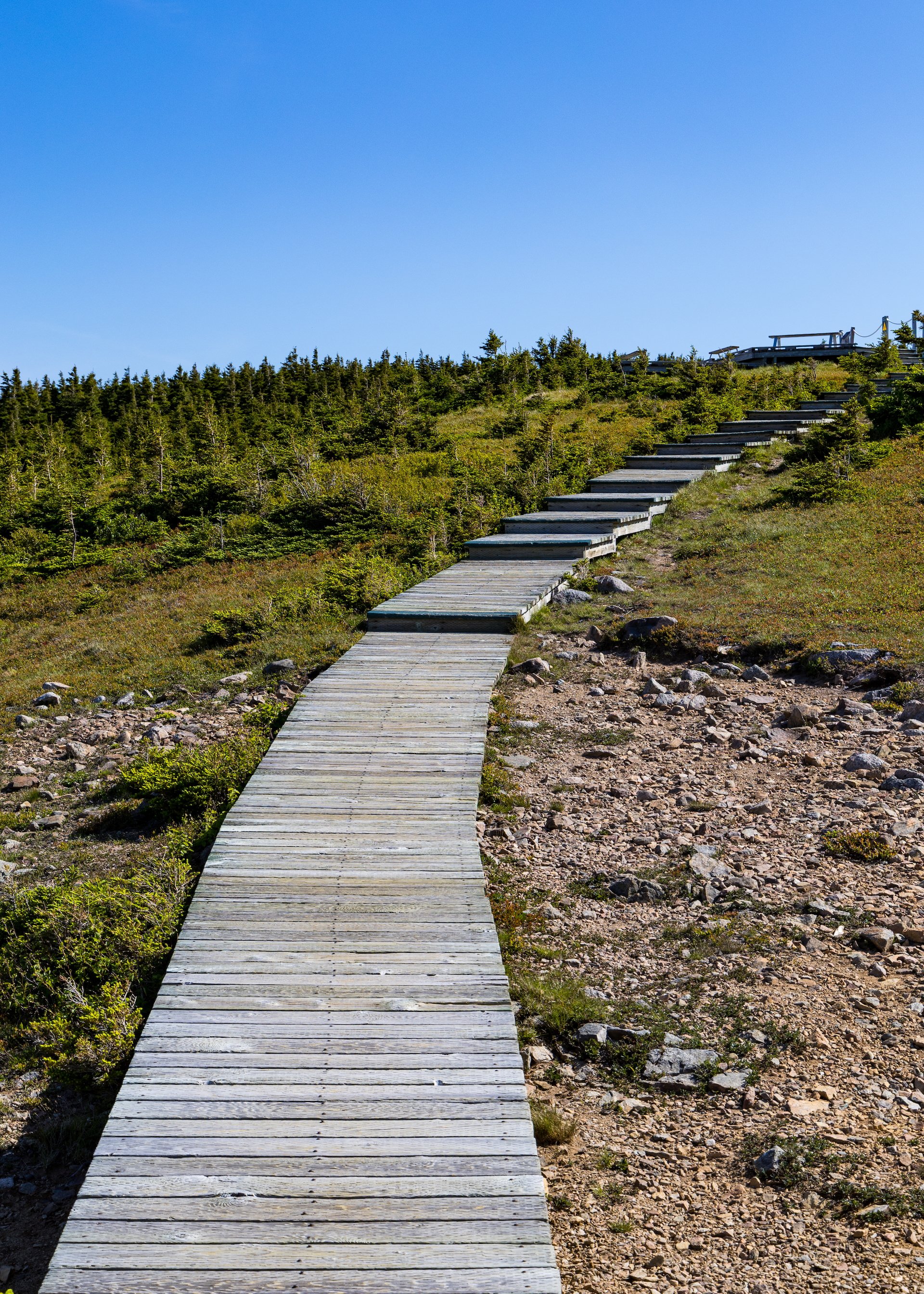 2025 06 Cabot Trail - 149.jpeg