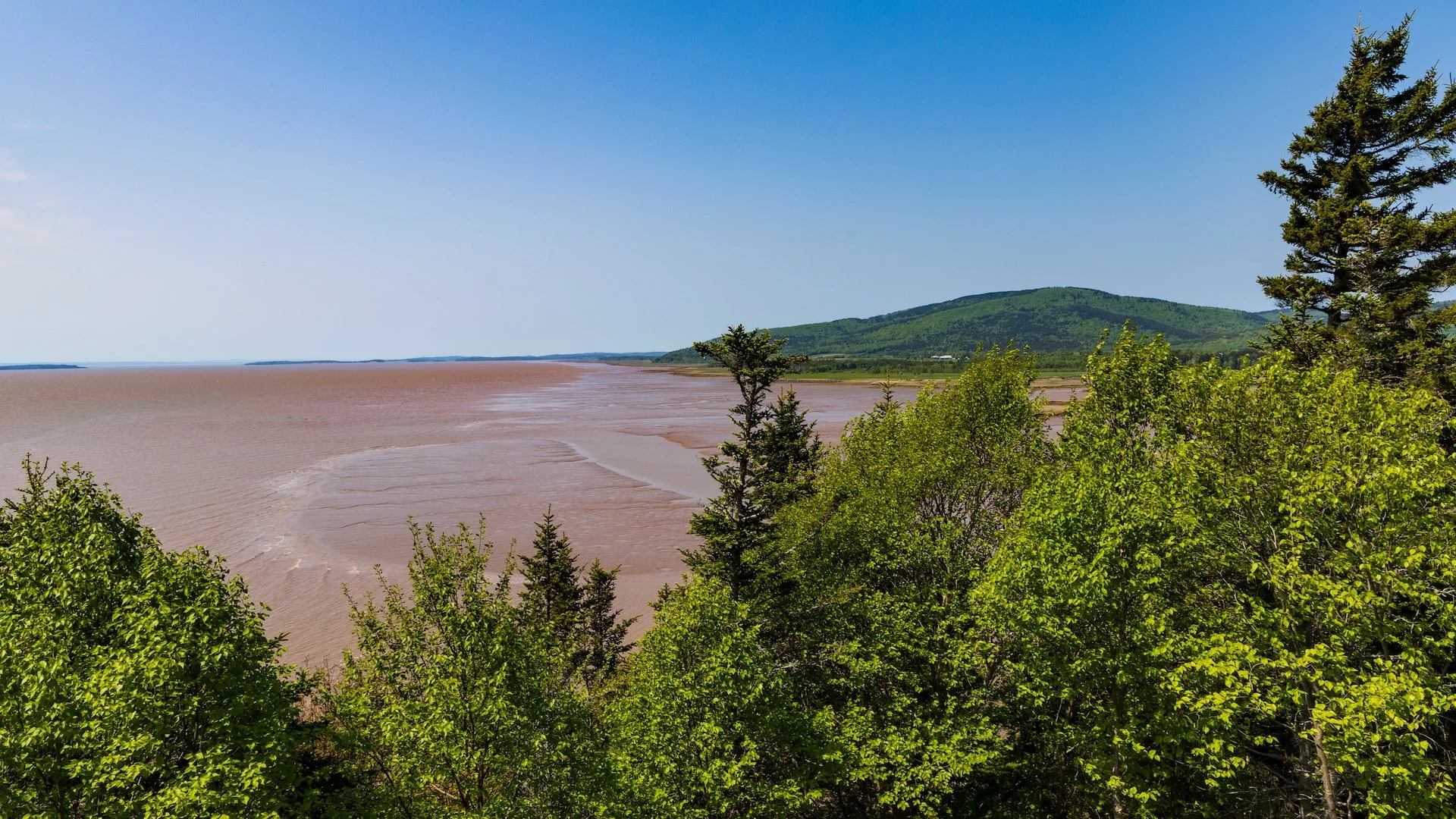 2025 06 Bay of Fundy - 17.jpeg