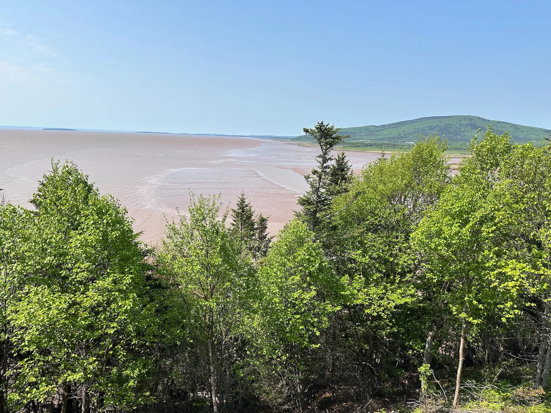 2025 06 Bay of Fundy - 18.jpeg