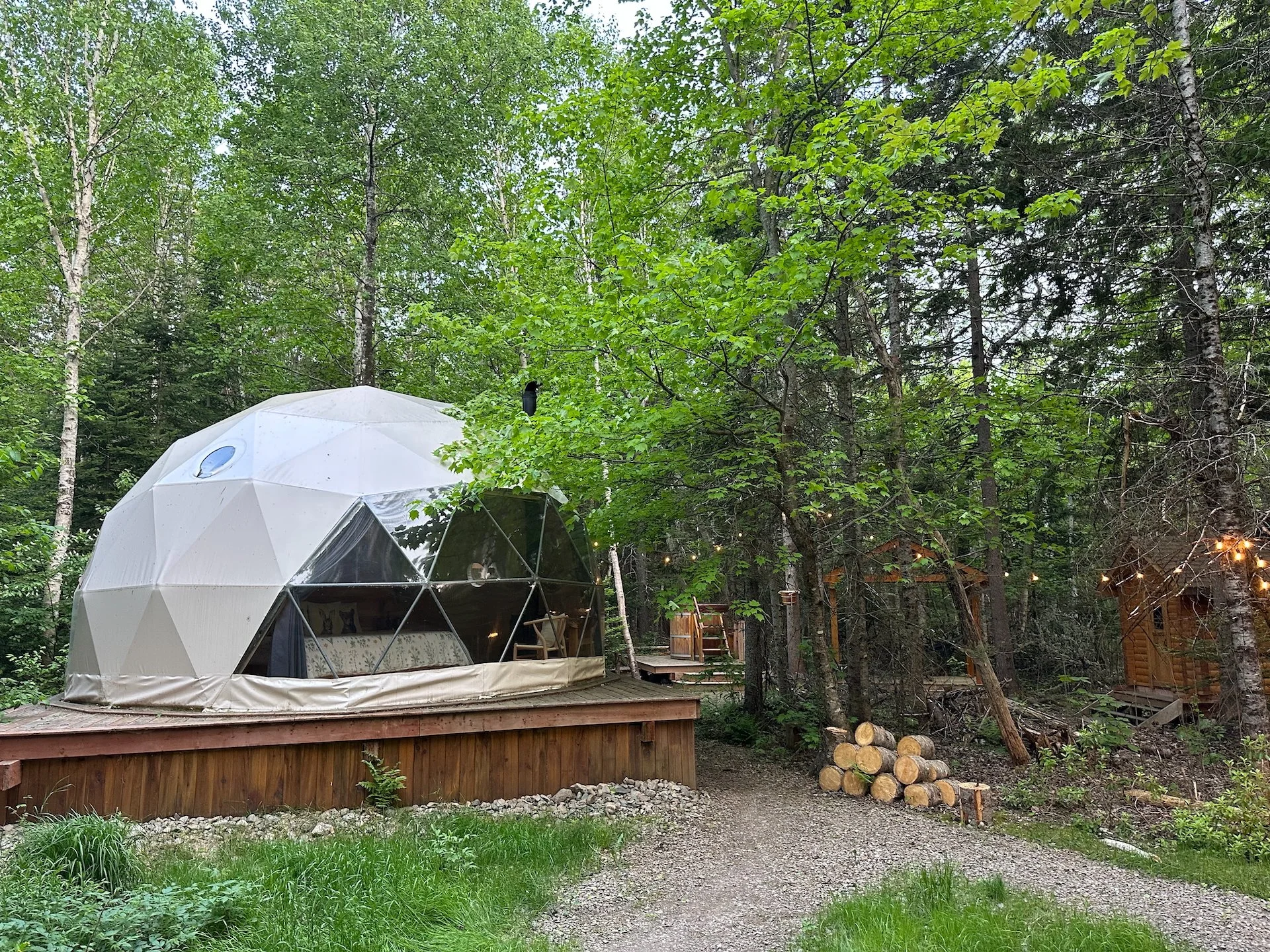  The dome was pretty cool. We spent a bunch of time investigating, trying to figure out how hard it would be to put together. I think it’s the perfect size for a greenhouse! 