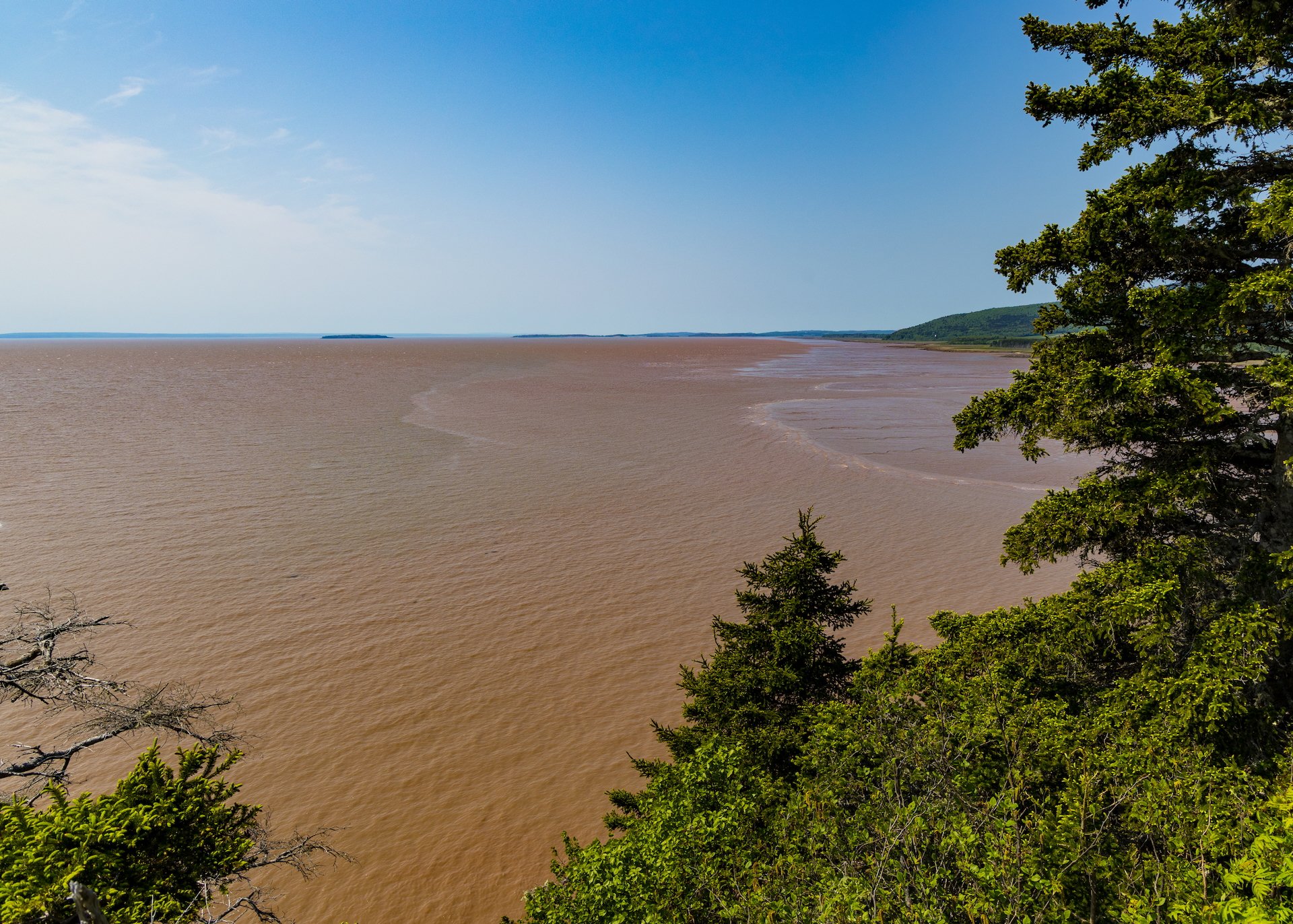2025 06 Bay of Fundy - 19.jpeg