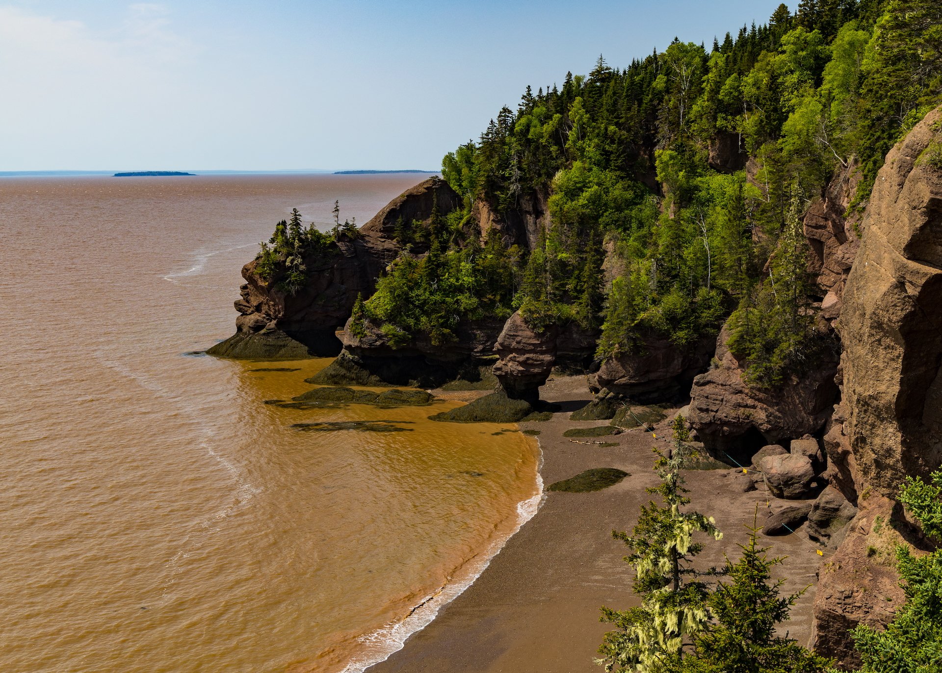 2025 06 Bay of Fundy - 20.jpeg
