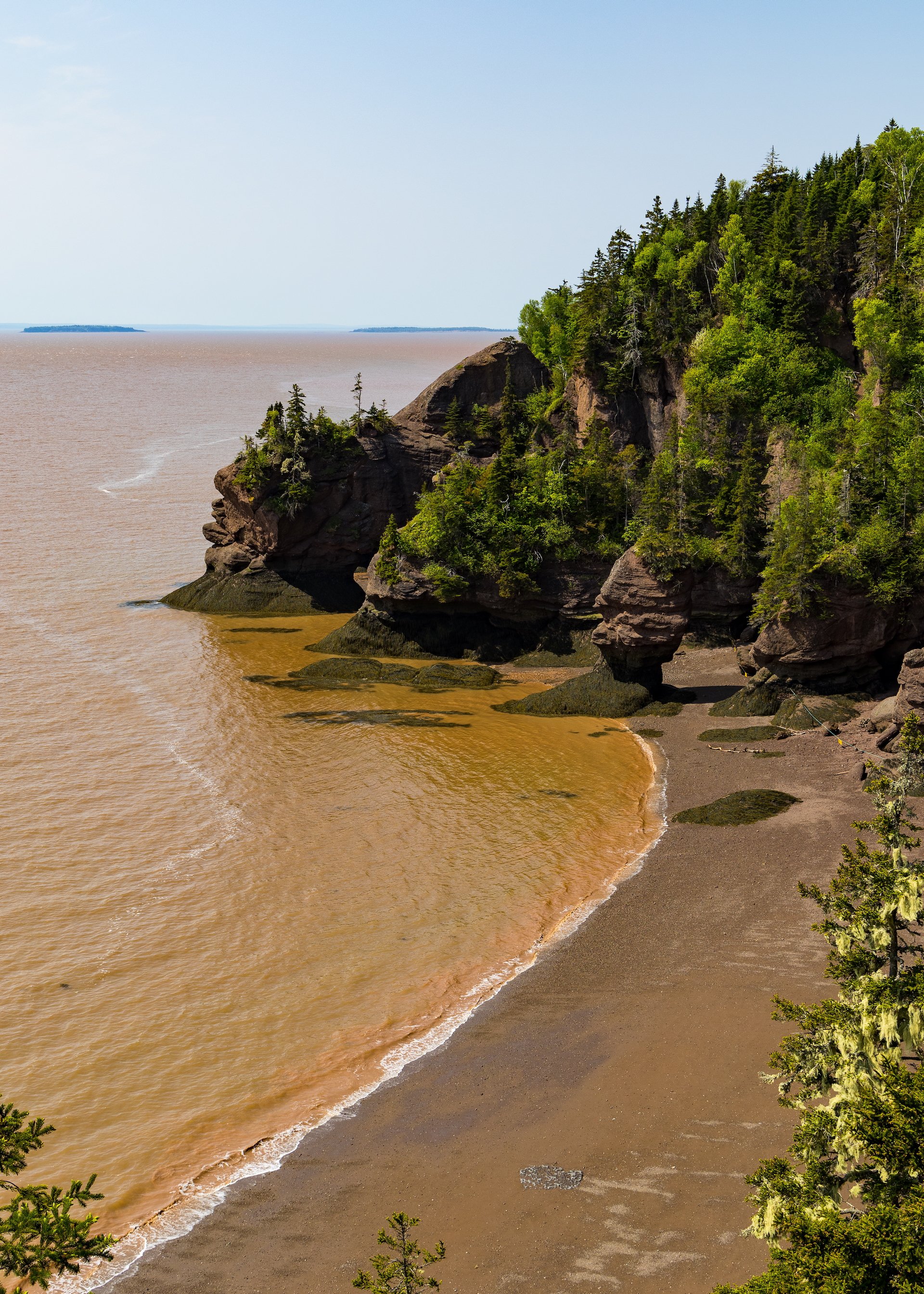 2025 06 Bay of Fundy - 21.jpeg