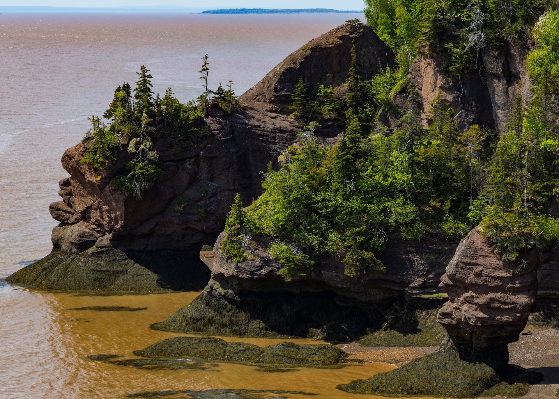 2025 06 Bay of Fundy - 22.jpeg