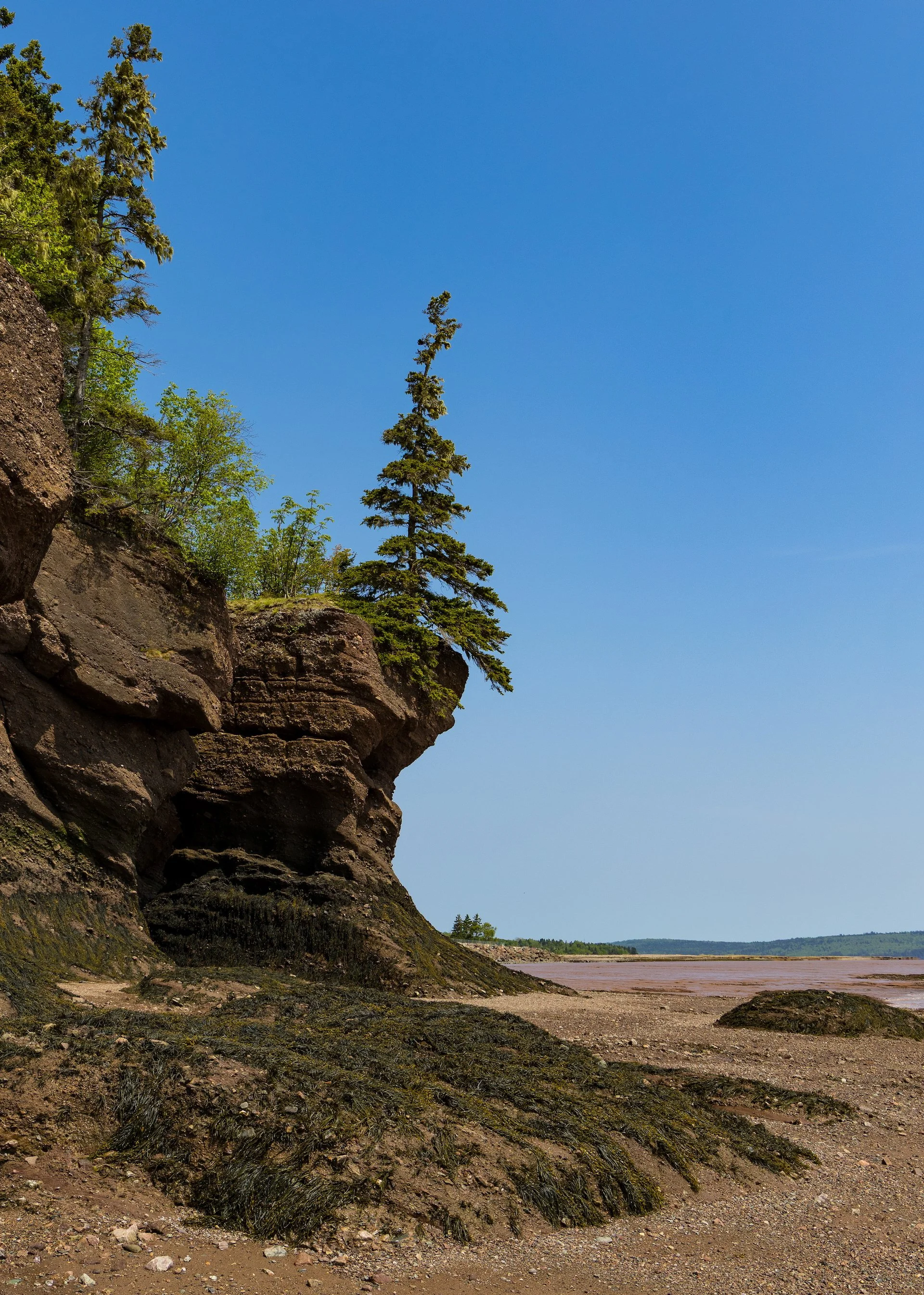  I believe that high tide would go about 1/3 of the way up this one. And we were no where near low tide yet. 