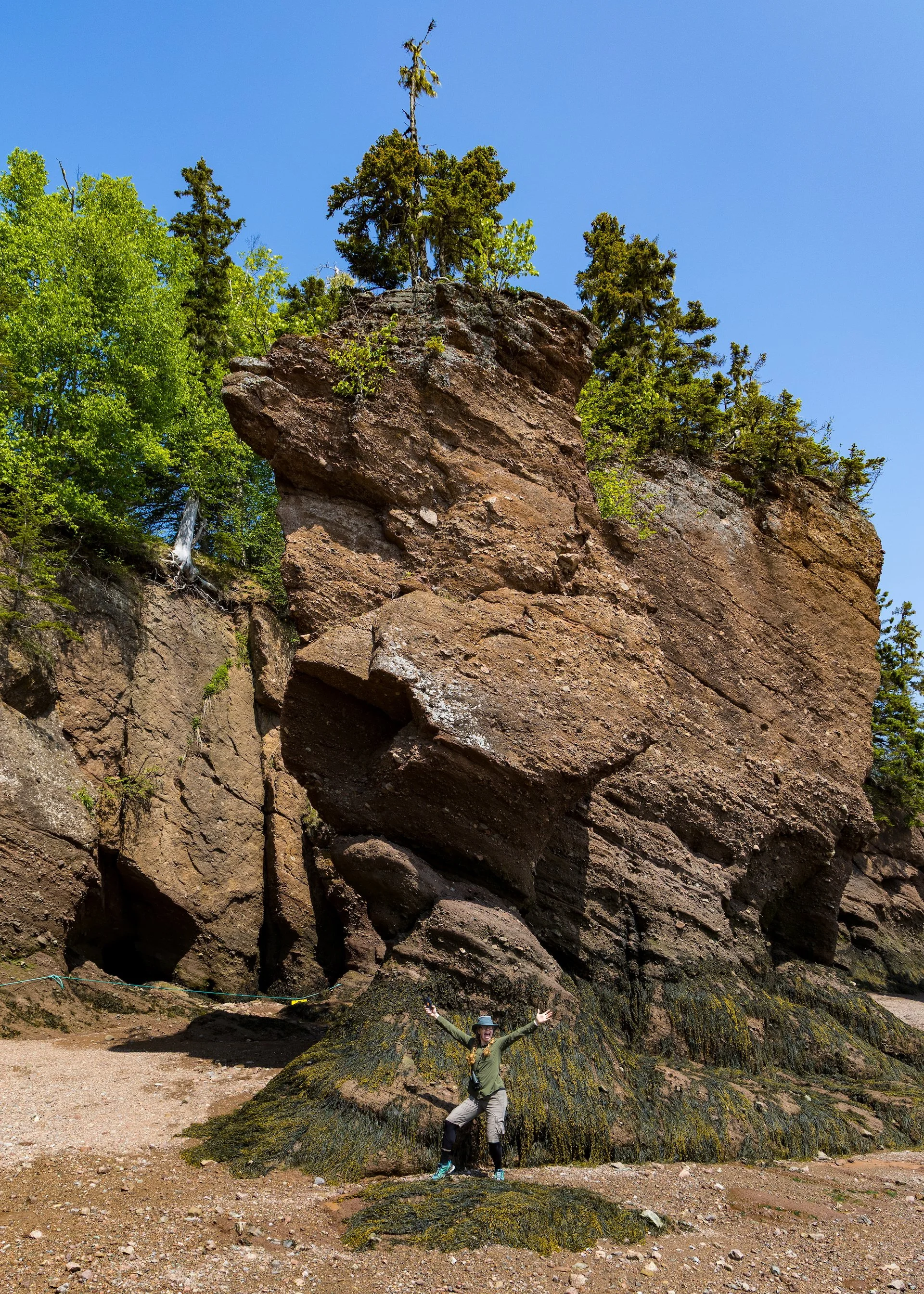  This one gives you a good sense of scale of the sea mounts. 