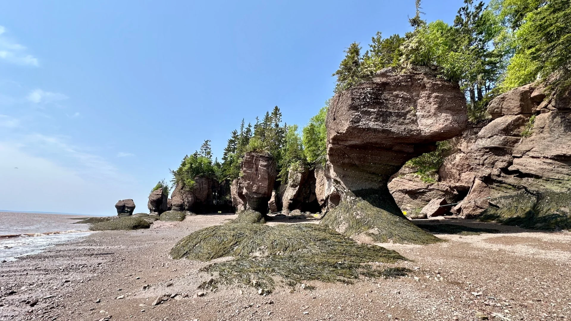  It’s such a cool area, with sea mounts stretching for miles.  
