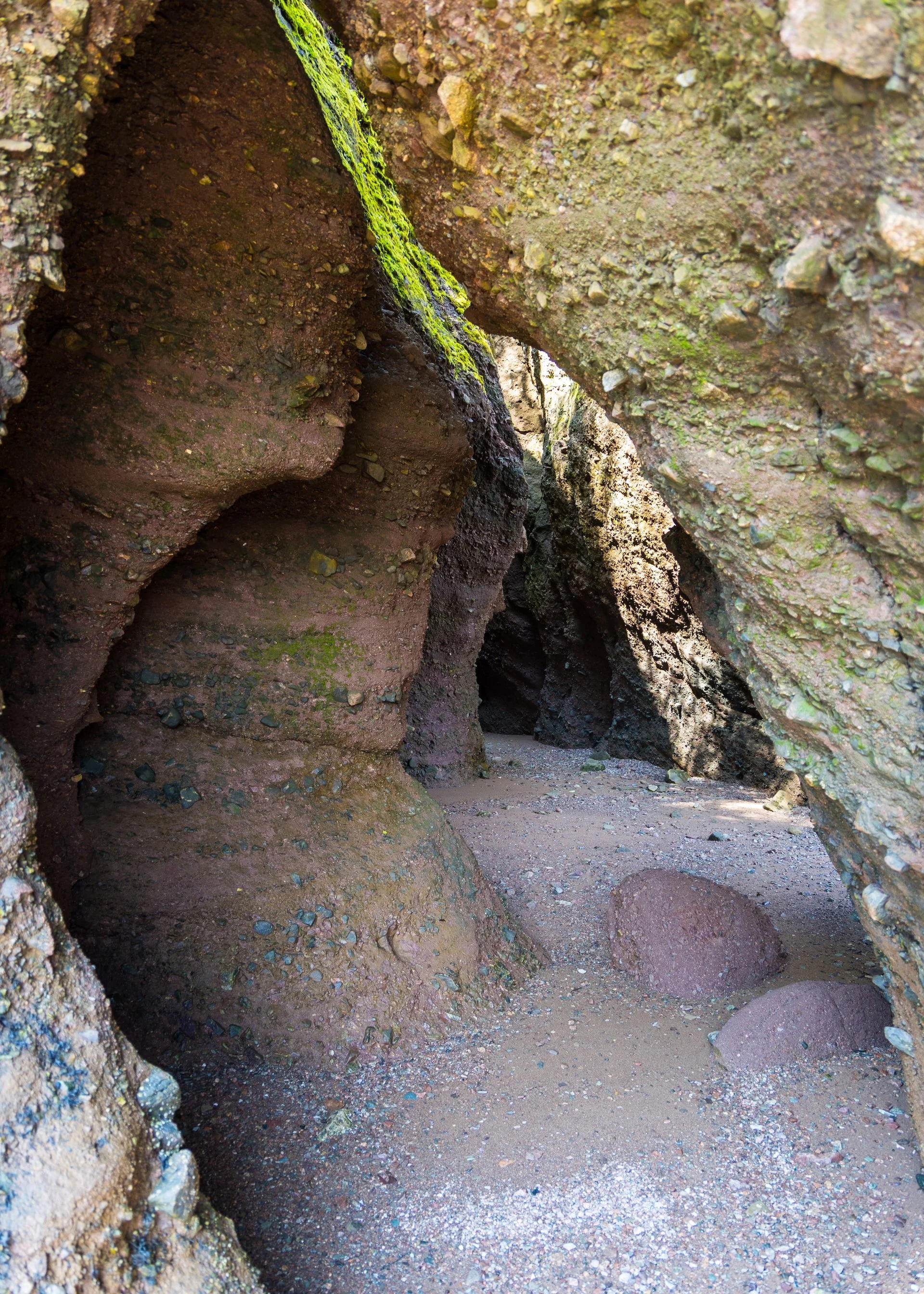  One of the few places that wasn’t roped off, where you could see the cliff eroding away. 