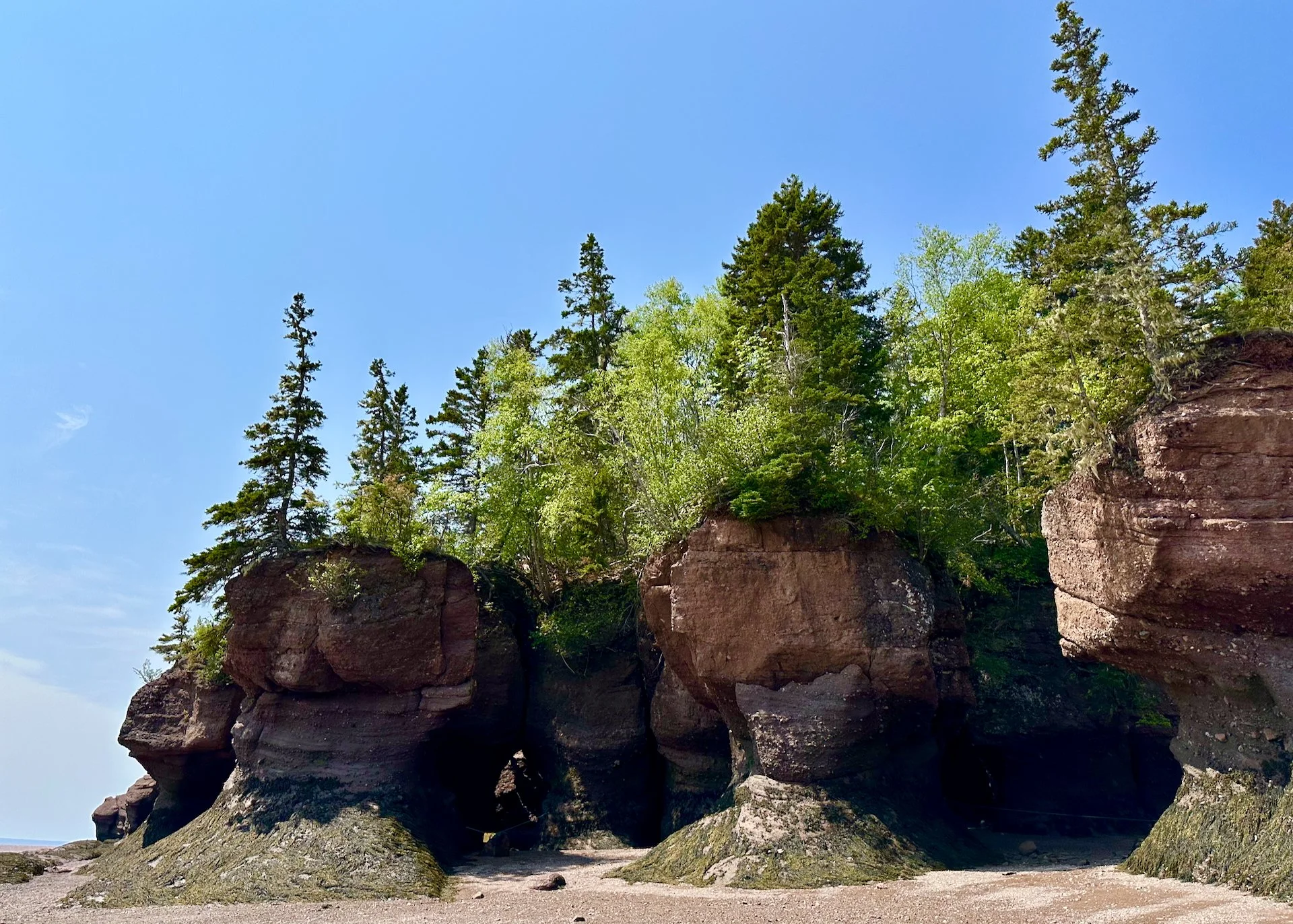 2025 06 Bay of Fundy - 41.jpeg