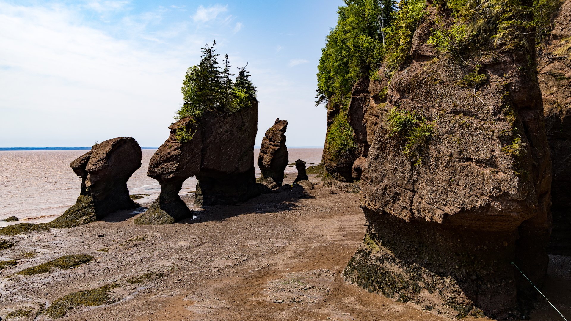 2025 06 Bay of Fundy - 24.jpeg