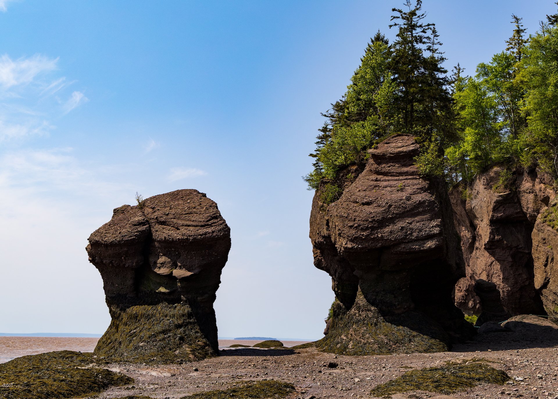 2025 06 Bay of Fundy - 25.jpeg