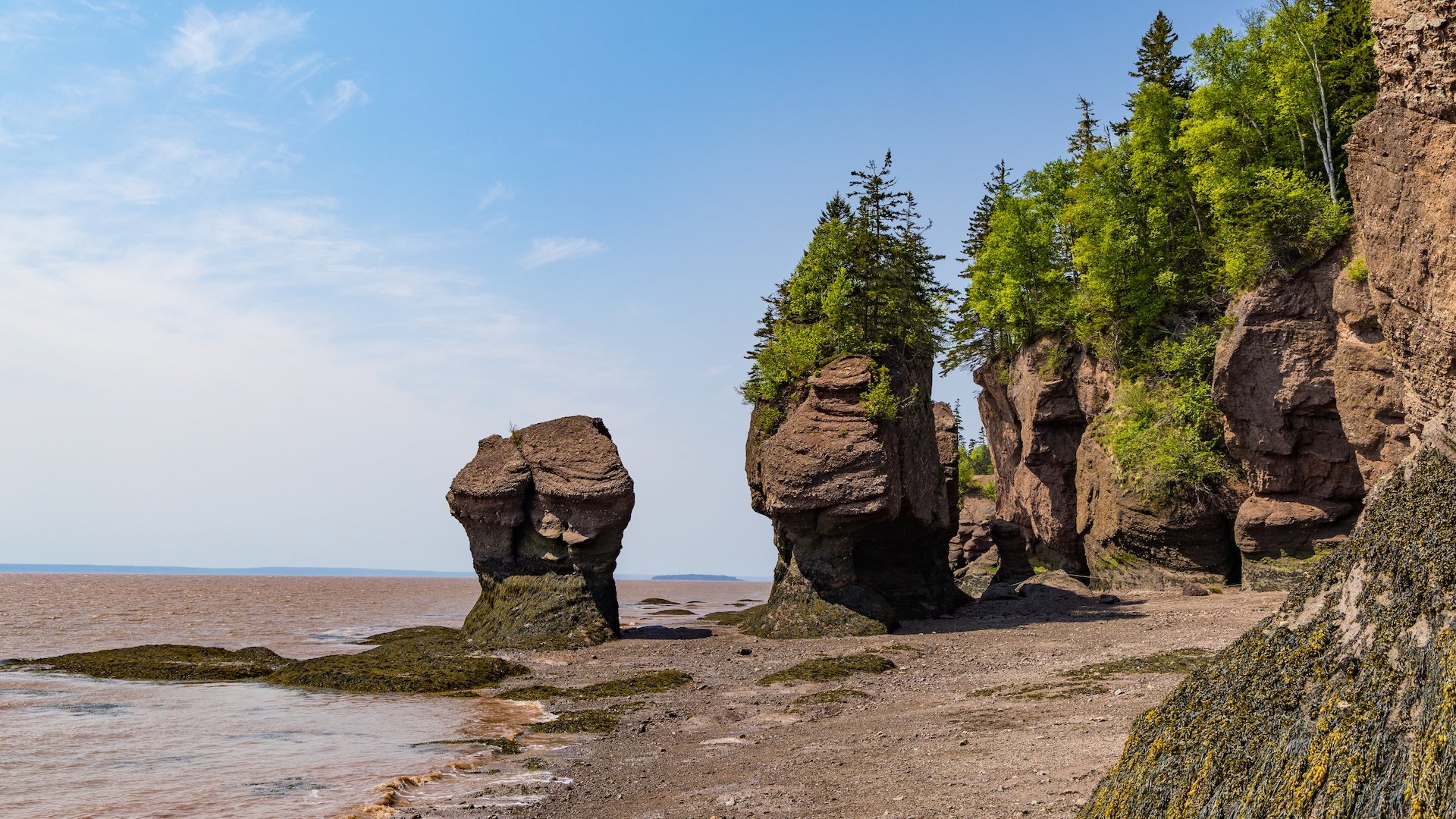 2025 06 Bay of Fundy - 26.jpeg