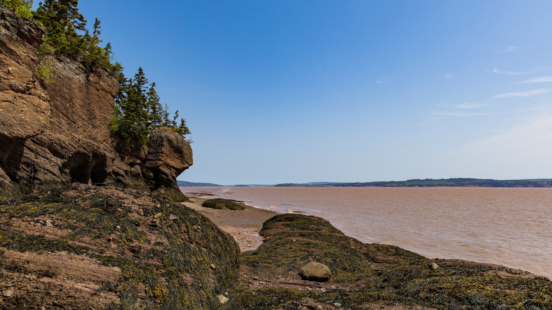 2025 06 Bay of Fundy - 27.jpeg