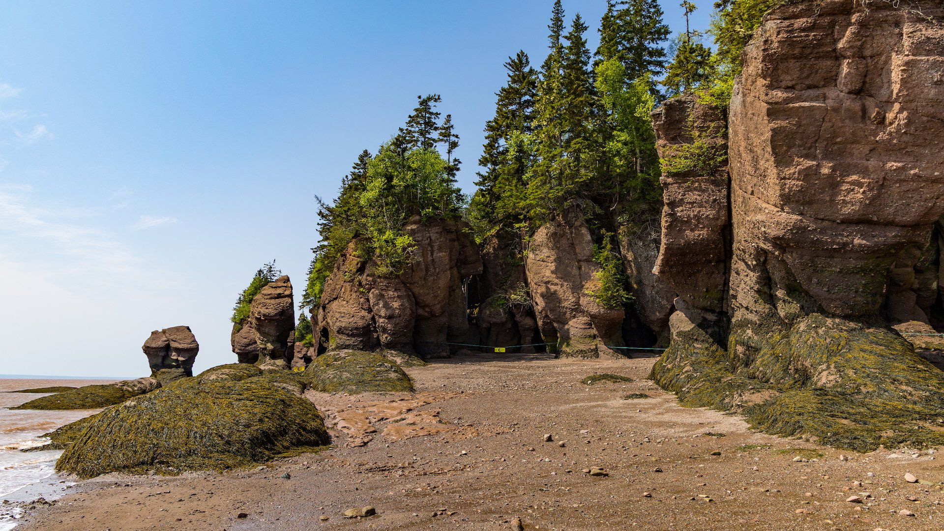2025 06 Bay of Fundy - 30.jpeg